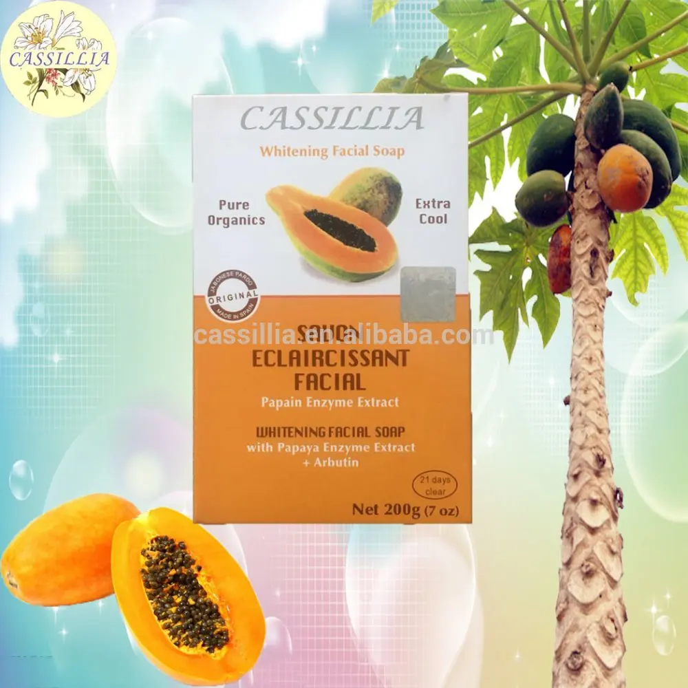 OEM wholesale factory classic beauty whitening cocoa nut milk skin care soft smooth high lightening soap