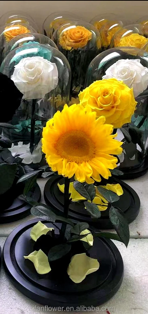 Decorative flowers or dried flowers & real roses in Glass-Factory direct supply or wholesales for Christmas gifts