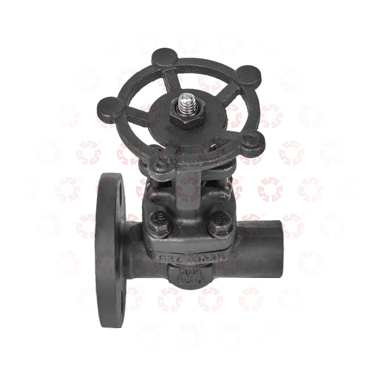Carbon Steel Z41-61-41 Dn50 Dn100 Dn125 Industrial Grade For Water Oil Gas Soft seal Manual check Valve Control Gate Valve