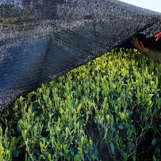 70% Shade Cloth Sun Shades Net Shade Mesh For Garden Plants Greenhouse, Gardens, Patio