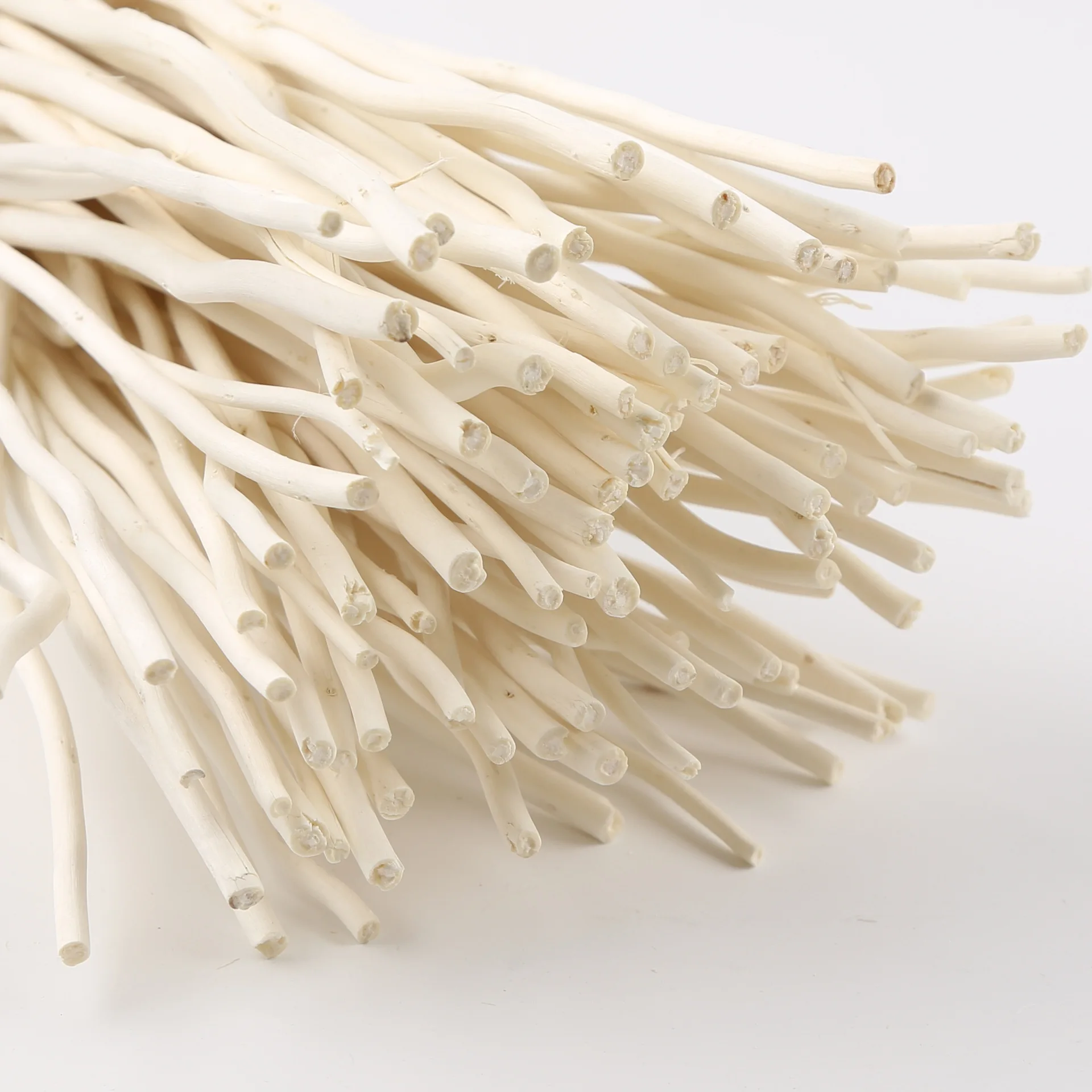 Natura Curly Willow dried pampas Branches Dried Curly Willow Branches 100% Natural Decorative White Sticks for Home Decor