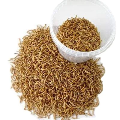 Factory High Quality Dried Tenebrio Molitor Mealworms Fish Pet Food