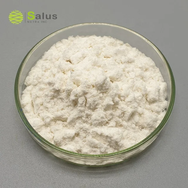 Top Quality Invertase Enzyme