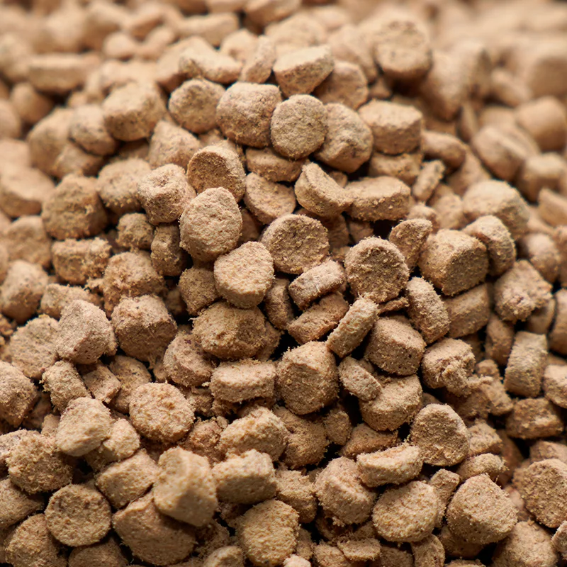 OEM Hot Selling Peptido Factory Full Price Freeze-Dried Raw Bone Adult Puppy Puppy 400g Dog Food