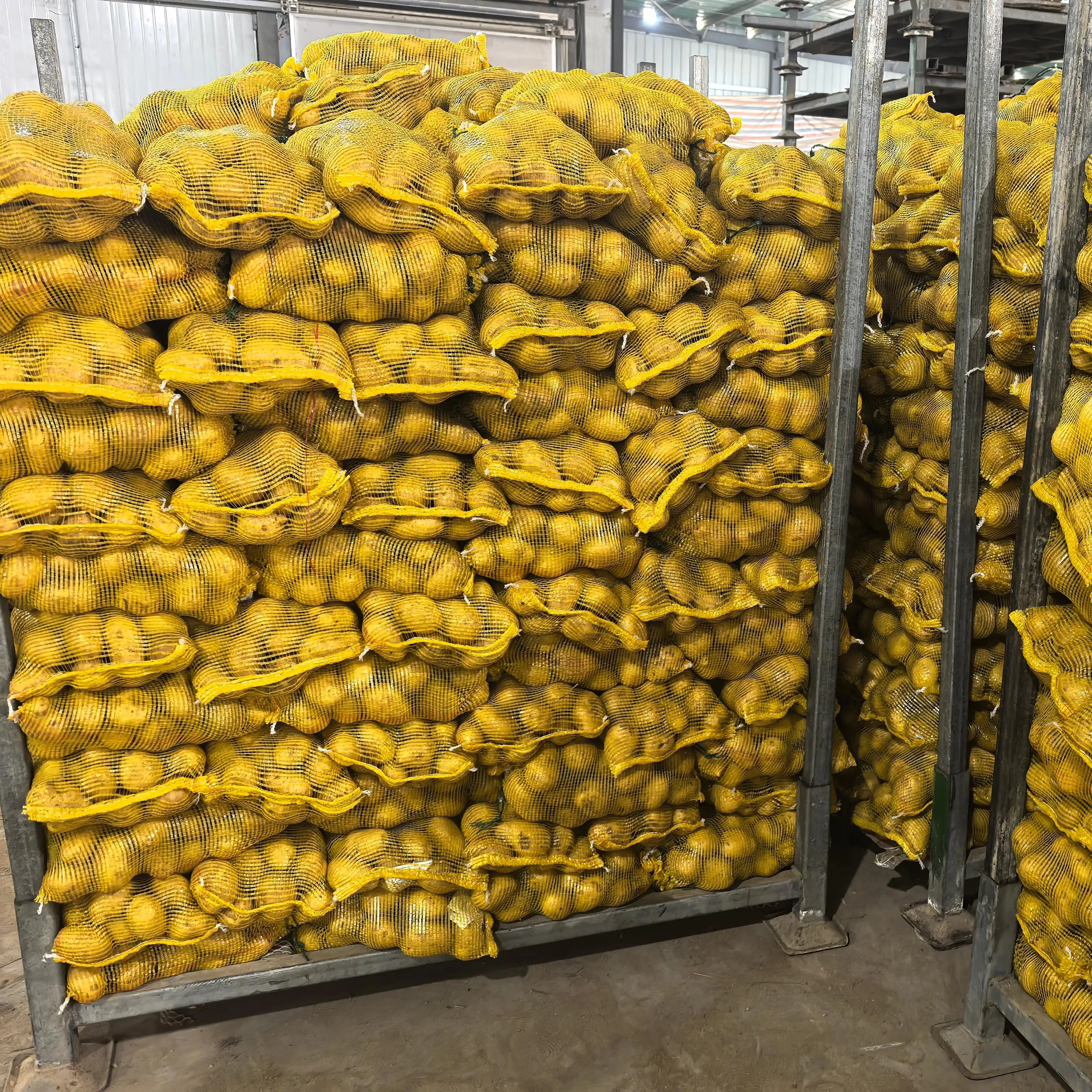 China Fresh Potato Best Quality Holland Yellow Potatoes Wholesale Price cacahuete