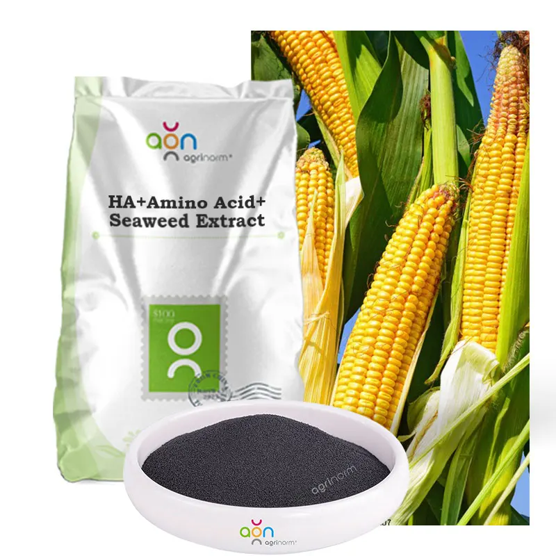 Agriculture Black Granular Humic Acid Plus Amino Acid Bio Shiny Granules Biostimulant Organic Fertilizer