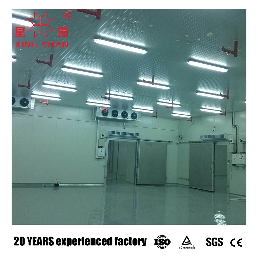Chinese Manufacturer mushroom cold room refrigeration equipment cold room