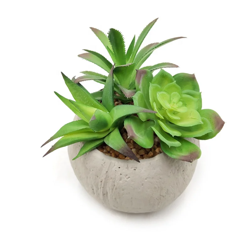 Small Cement Potted Artificial Echeveria Succulent Plants