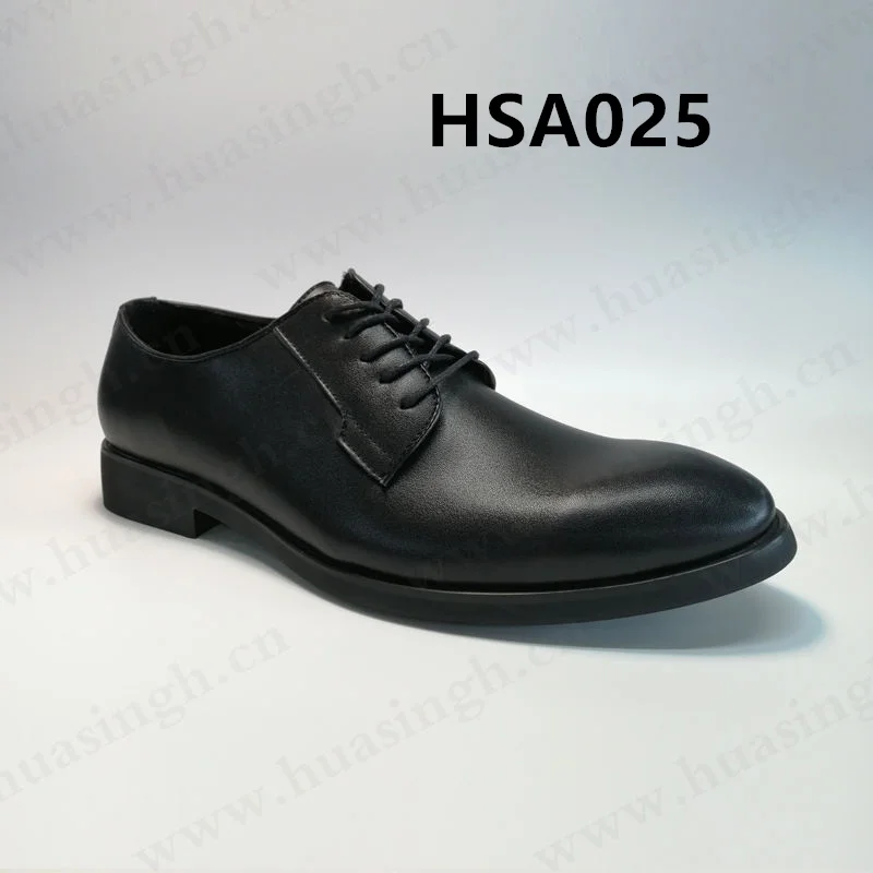 HSA02501
