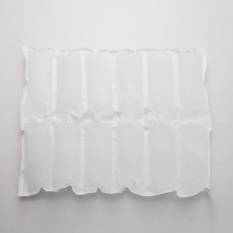 BSG Packs Cooler Bag Boxes Reusable For Cold Fresh Food Shipping Gel Ice Pack Food Grade Dry Ice Pack