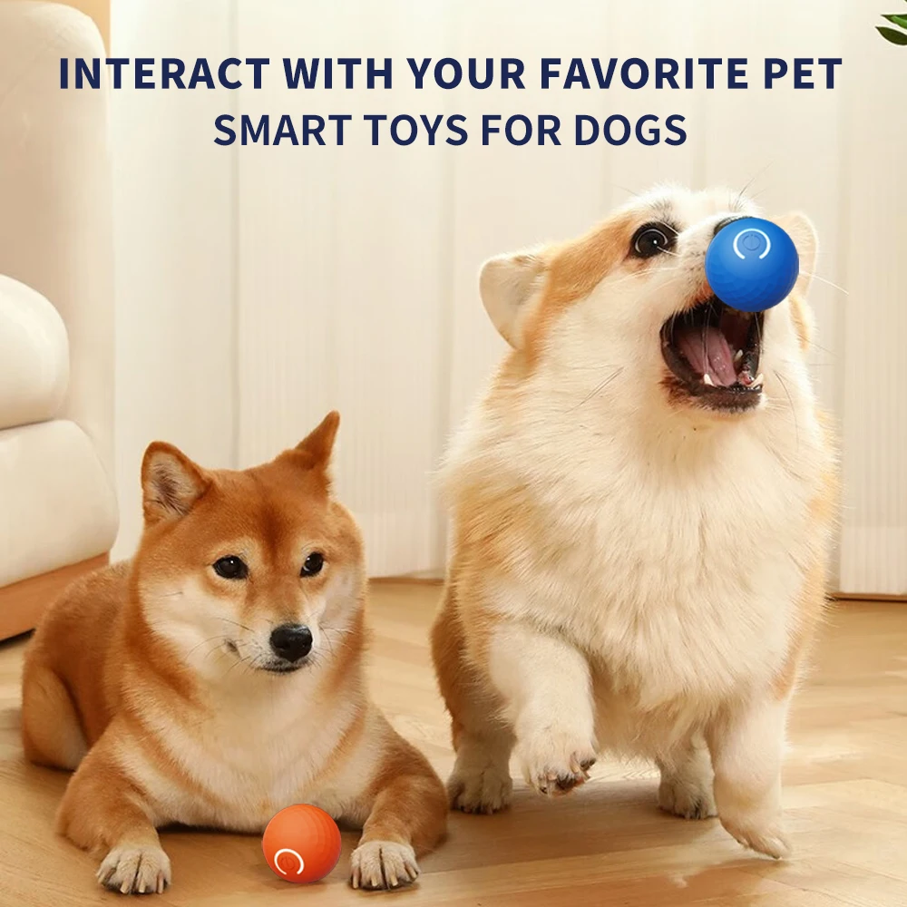 2024 New wn  Dog Smart Bouncing Ball Pet Training Dog Cat Interactive Self Moving Toy Automatic Rolling Dog Ball