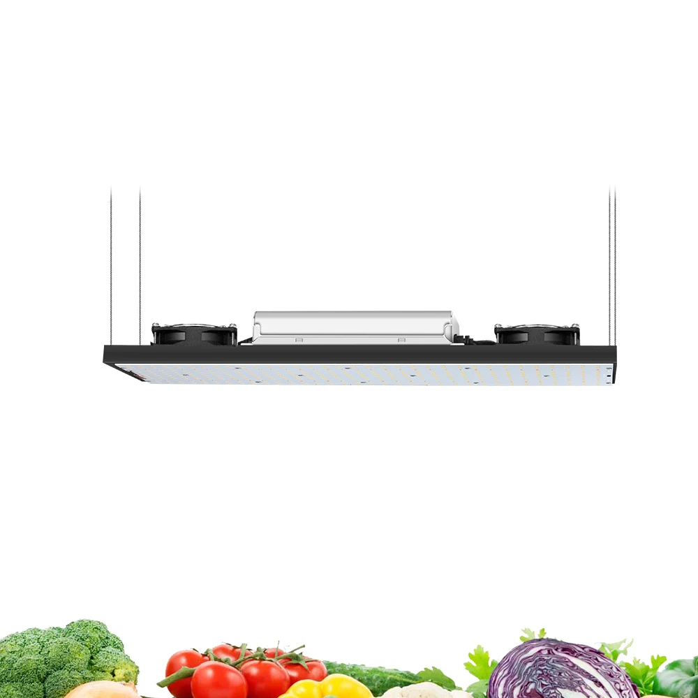 Hydroponic Indoor Plants Lm282b Led Grow Light Uv Ir Bar Full Spectrum 240w Led Grow Light Sunlight