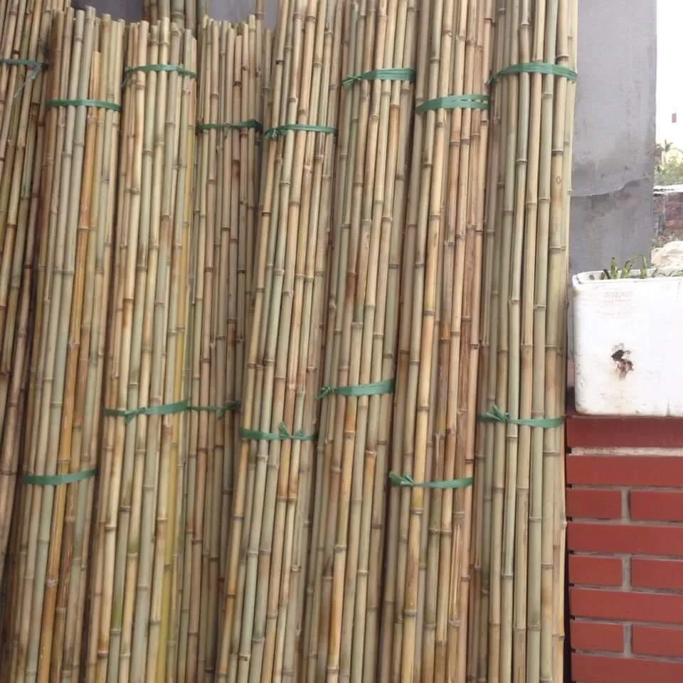 Bamboo Canes/ Bamboo Pole/ Raw Bamboo cheap price from Vietnam