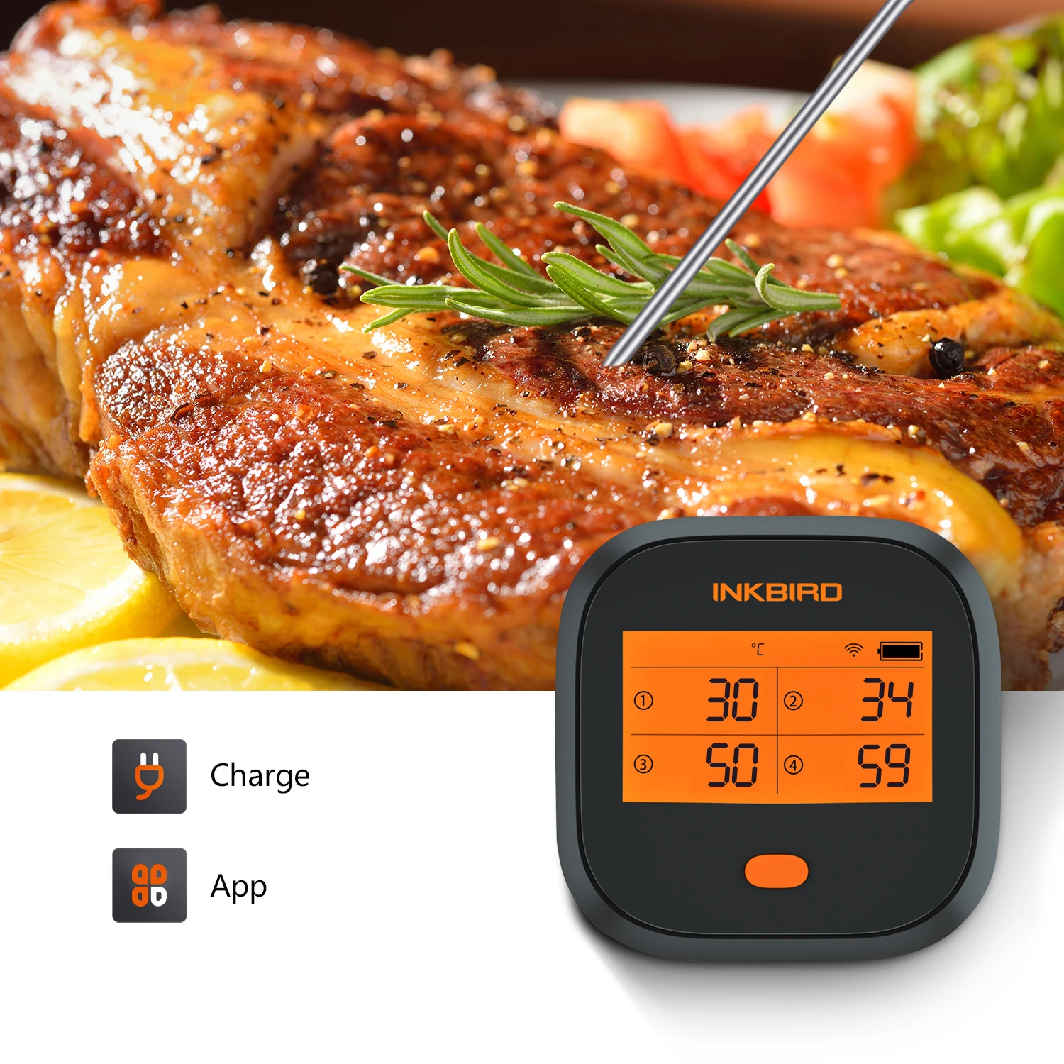  Беспроводной водонепроницаемый термометр Inkbird IBBQ-4T wifi для приготовления мяса на гриле