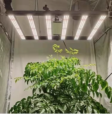 Светодиодная сельскохозяйственная лампа полного спектра Samsung 1000 Вт Cmh 800 Cob Lm301h Lm301b