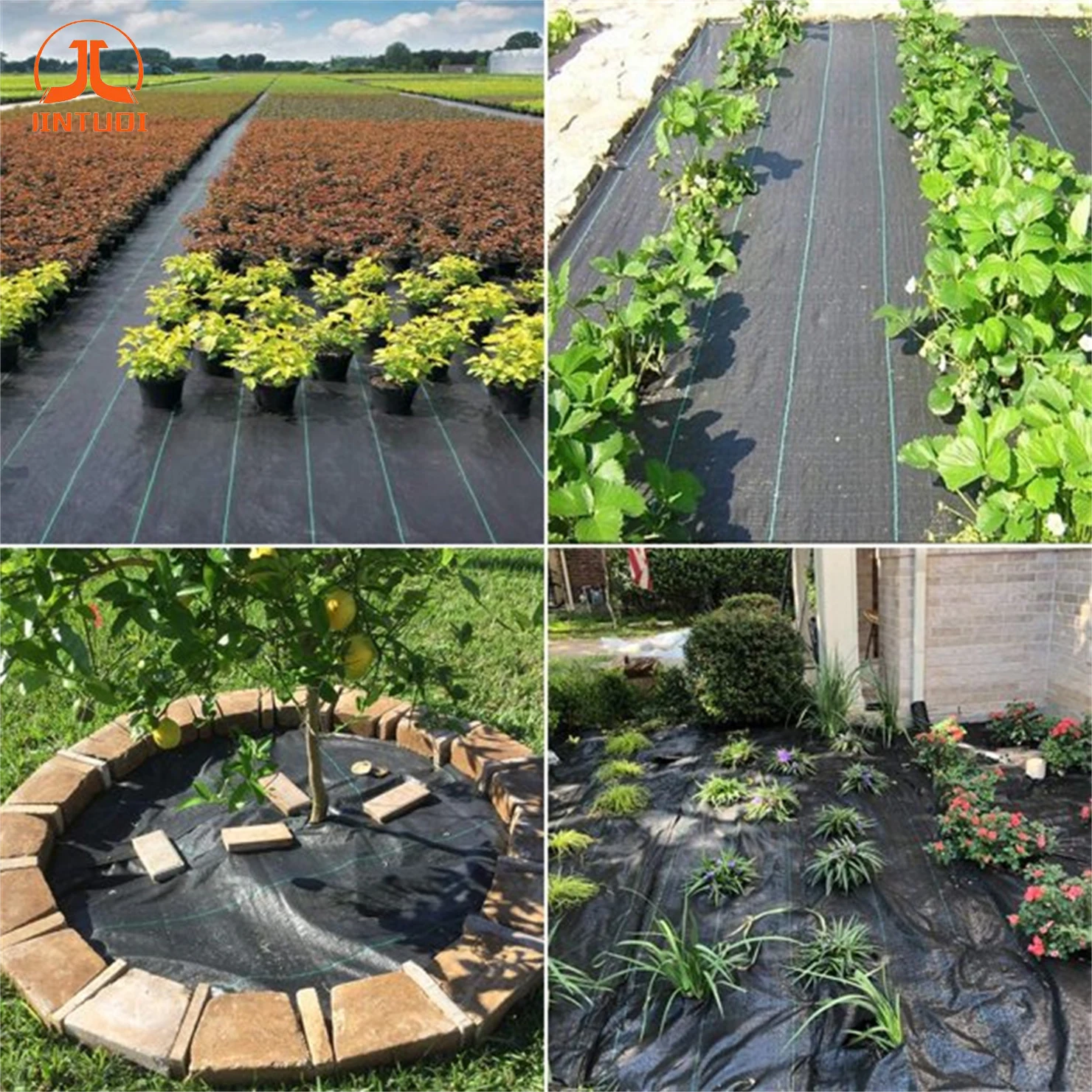 Agriculture Plastic Woven PE Greenhouse Anti-Weed barrier Ground Cover Garden plastic mulch Weed control  Mat