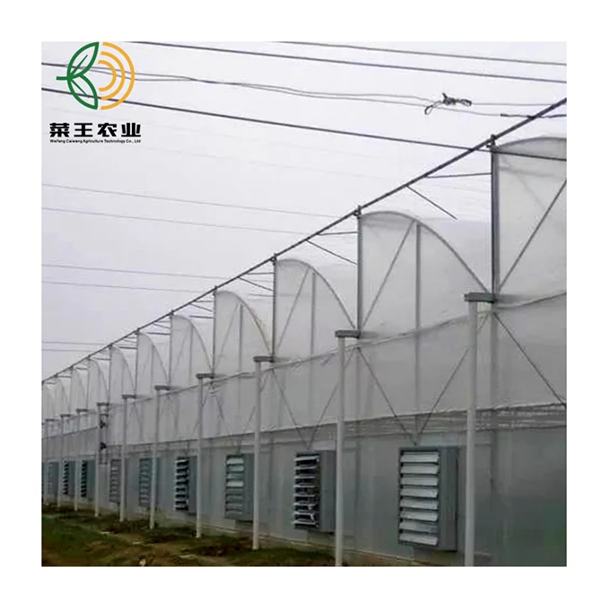 Anti Mist UV Agricultural Greenhouse with Plastic film