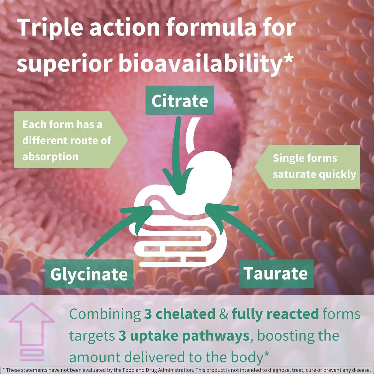 Magnesium Complex Tablet Herbal Supplement for Calm Relaxation Digestion Support with Elemental Magnesium