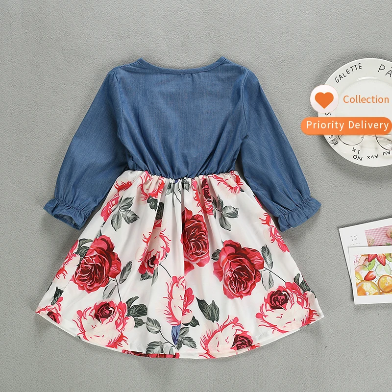 Wholesale Europe Girls Floral Dress Children Vintage Dress for Autumn Kid Dress