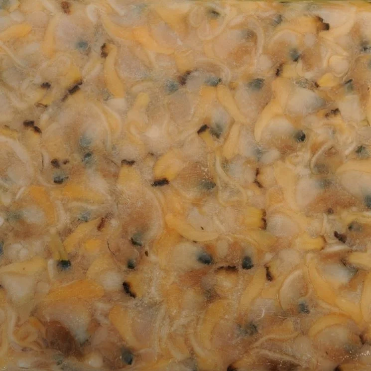 
Frozen Delicious Healthy BQF Fresh Cooked Yellow Clam Meat 