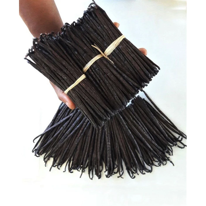 Chocolate Brown Dried Plants Export Madagascar Importers Spice Extract Vanilla Beans Sticks For Sale