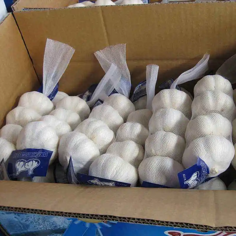 china new 2023 fresh  garlic