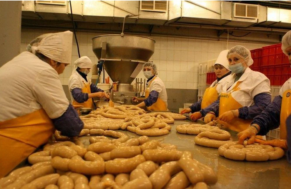 Automatic Pneumatic Sausage Stuffer Making Machine Sausage Filler Machine Sausage Production Line