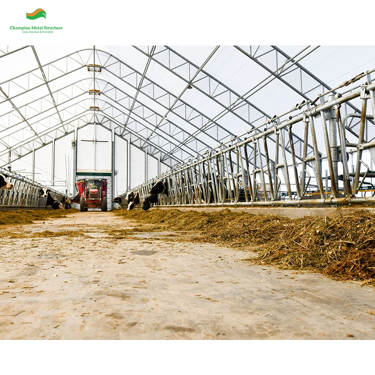 25x60m Large Storage Tent for Harsh Weather Withstands 170km/h Wind Snow Load Capacity 1.0kN/m²