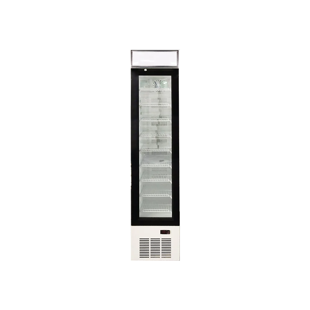 118L Commercial Upright Ice Cream Frozen-food Display Showcase  Freezer LSD-118L