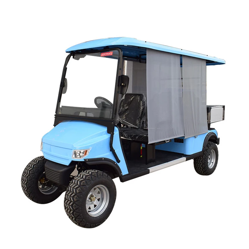 Electric golf buggy  48V battery operated mini  golf cart  electric golf carts