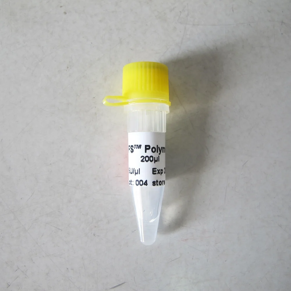 FS PCR Taq DNA Polymerase P1071-P1072-P1073-P1074