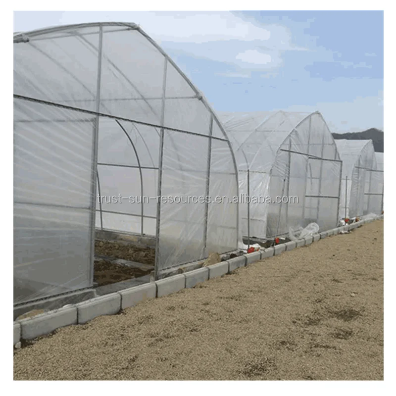 
agriculture small plastic film greenhouse tent 