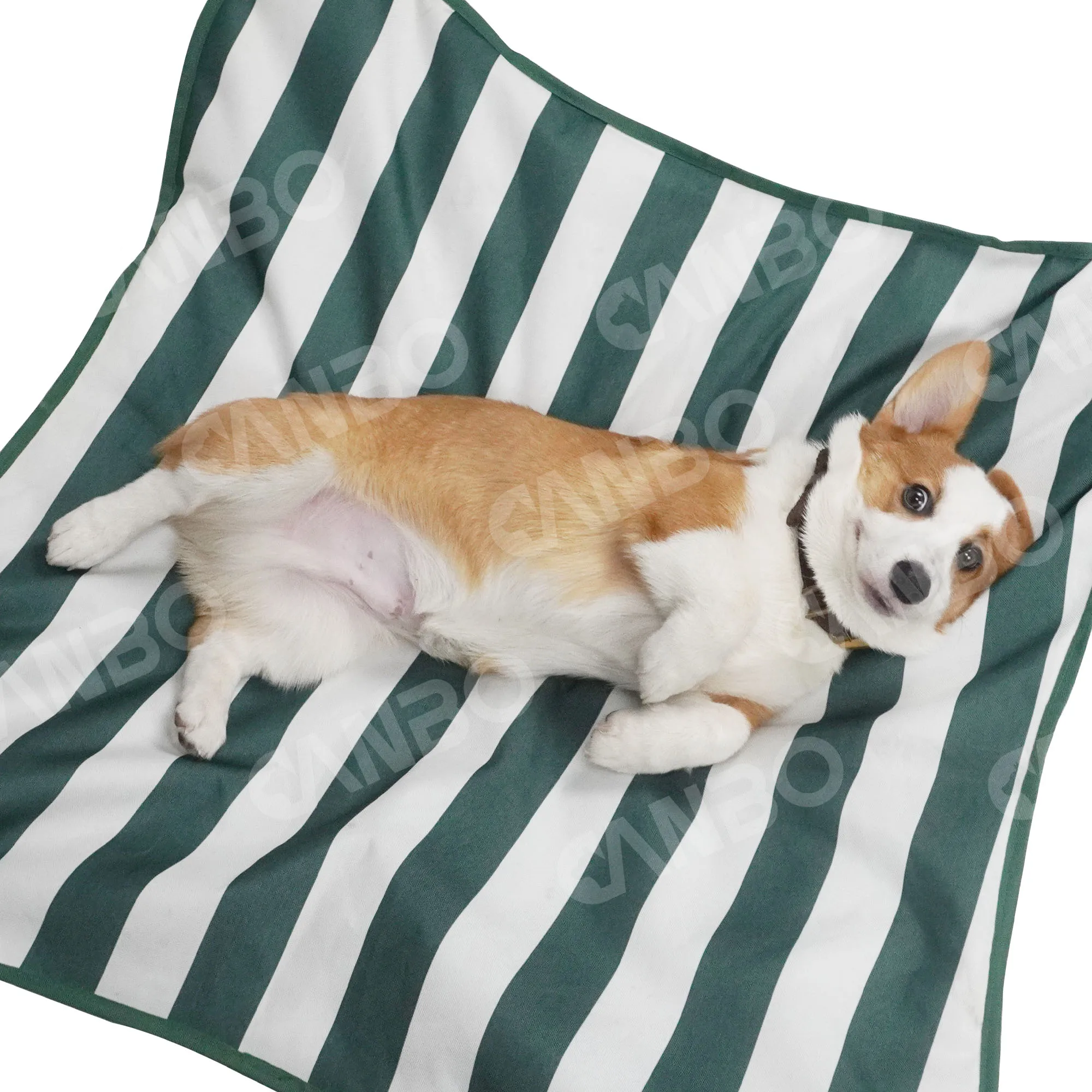 Wholesale pet elevated bed flower shaped striped dog bed foldable portable luxury moistureproof dog bed  high quality