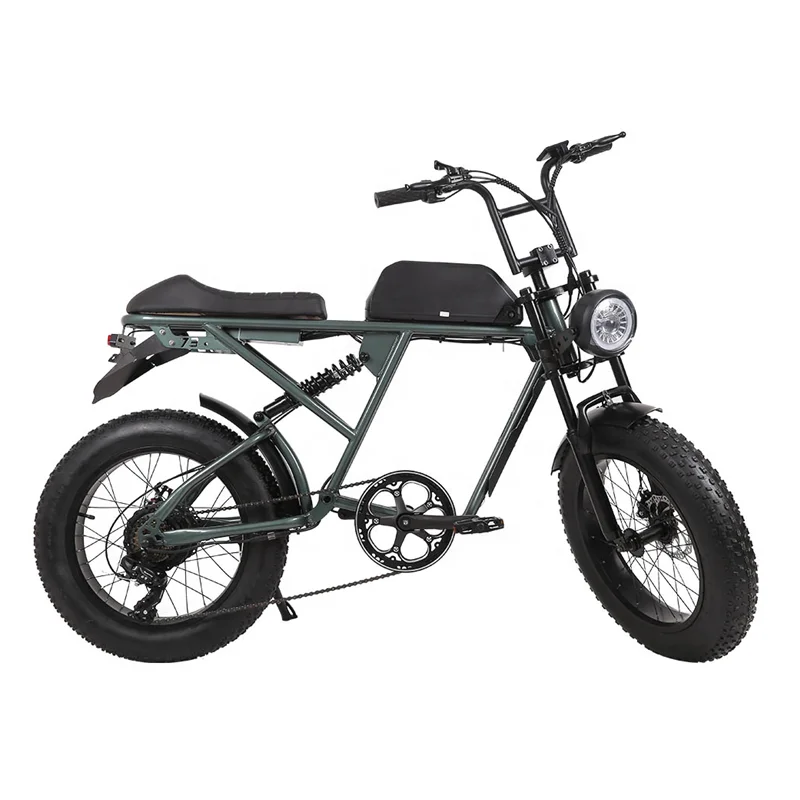 Two wheel Cargo Electric Bike Max Speed 45kmh Zhenfeng super Big Tires Ebike Bicycles Manufacturers New Design Hot Sell 73 1000w