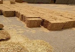 Premium Quality Animal Feed Chickpeas Hay Straw / Chickpea Straw Ready For Export  Best Packaging Competitive Price