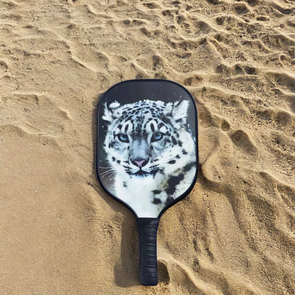 High Quality UV Printed Glass Carbon Fiber Polypropylene Honeycomb Racket Suit with Pickleball Racket