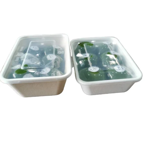 empaques biodegradables food biodegradable taper