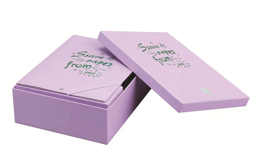 Customized Printing of Personal Design A4 File Storage Box