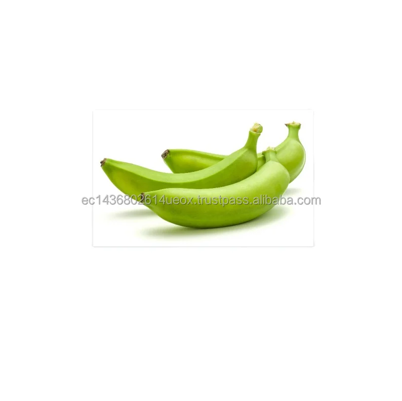 
100% Natual Organic bananas harton organic and Fairtrade Delicious Taste Hot Sale Products 