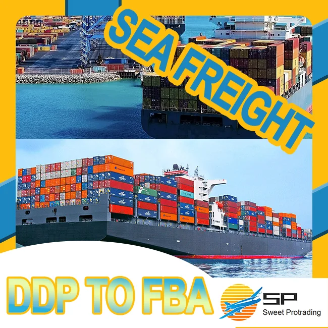 China freight Forwarder Special container to brazil Argentina Chile peru Uruguay Paraguay Ecuador