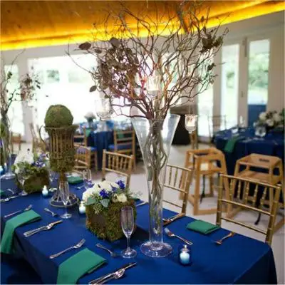 Annual hot sale Stackable custom color wedding banquet hotel adults resin white chivari chairs