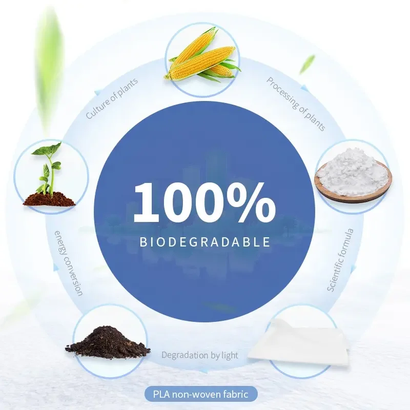 Disposable Bed Sheets Bedroom Travel Hotel Disposable Thicken Non-woven Fabrics Sheet