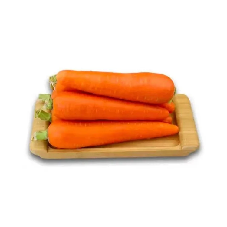 
Everyone knows fresh refreshing and delicious 100% natural top quality organic carrot 