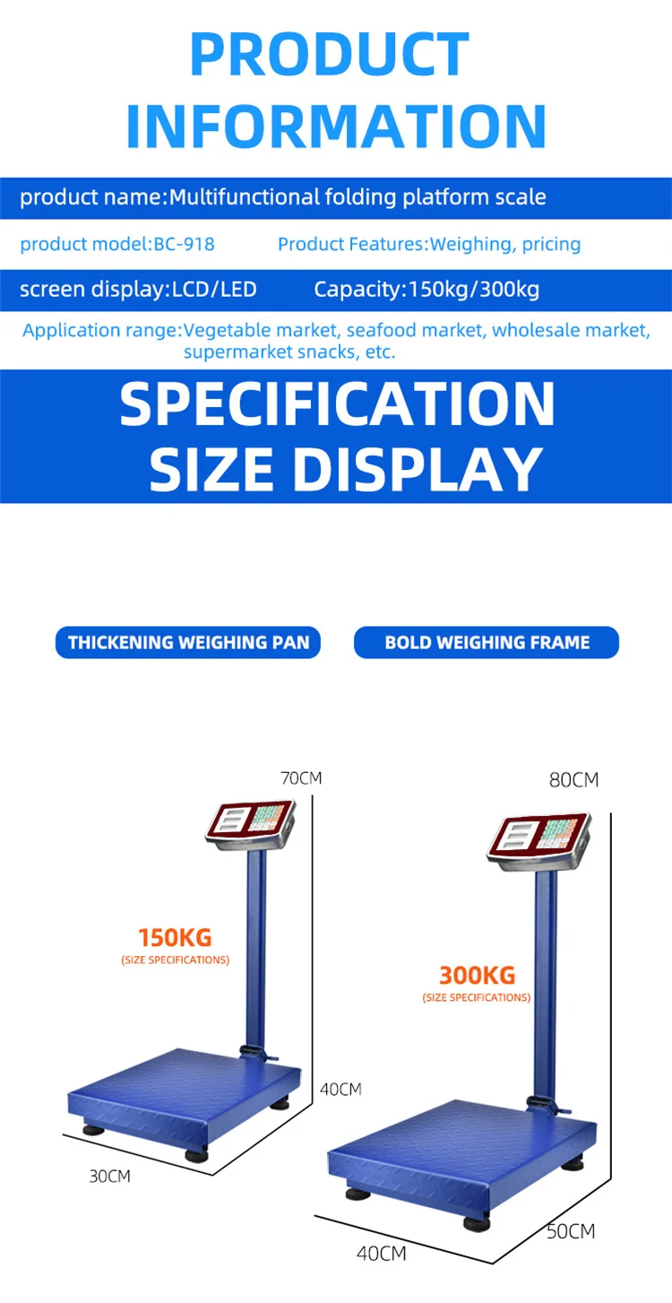 price computing scale (5).jpg