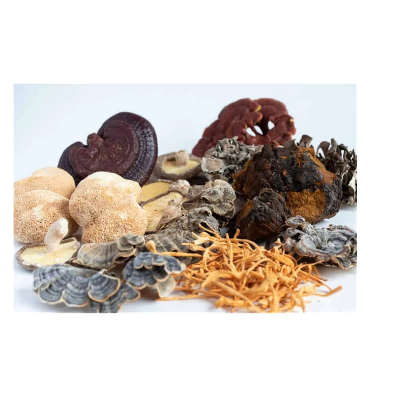 6 гриб комплекс Лев грива, Рейши, кордицепс, Чага, индейка хвост, Maitake-добавка-реальное фруктовое тело