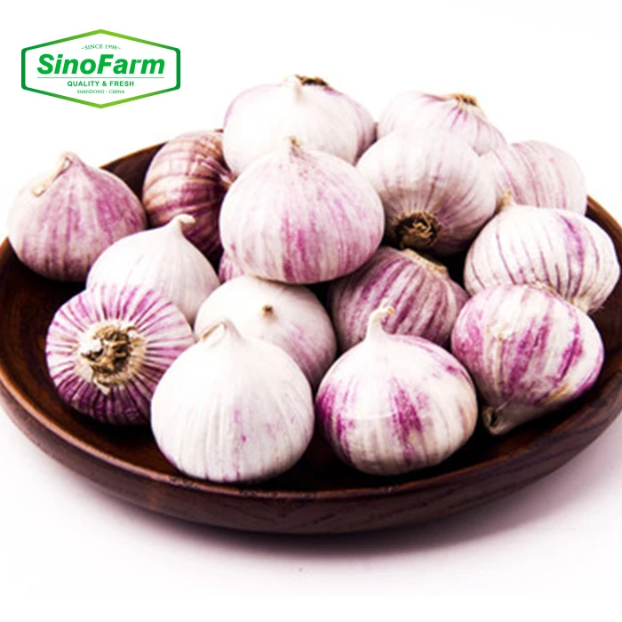 1 Clove Garlic Price Per kg