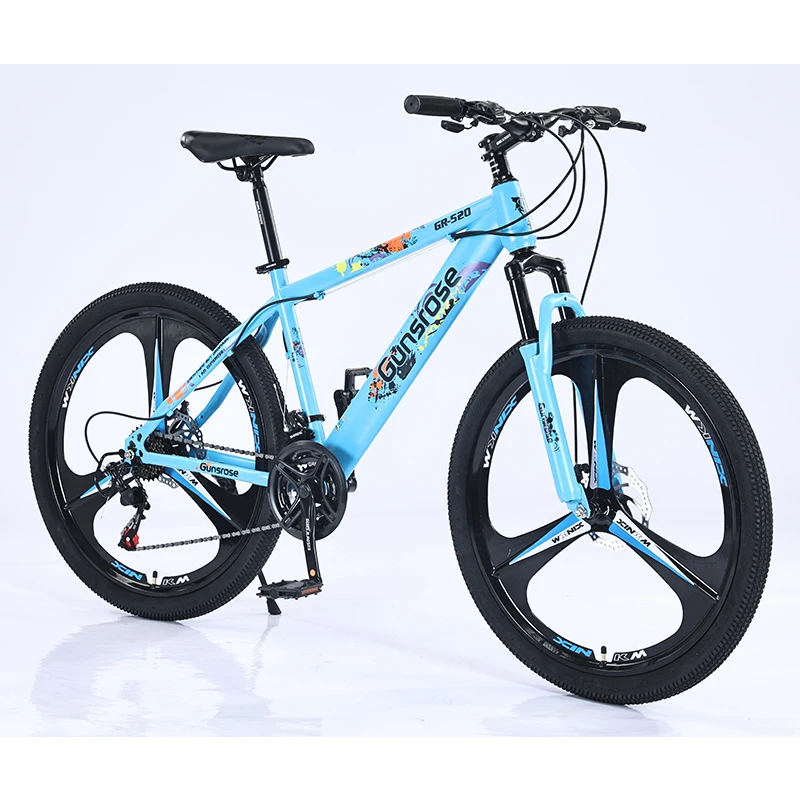 Factory Price 26 Inch 21 Speed High Carbon Steel Fat Tyre Other Mountain Dirty Bike