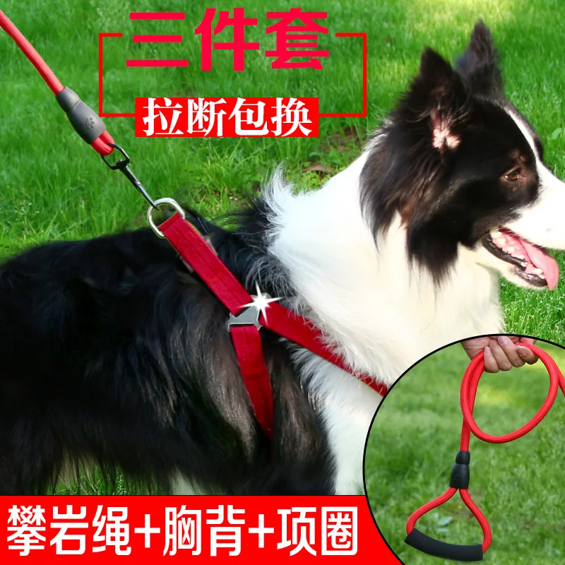Pet Удобная цветастый Гуляя Регулируемый не тянуть нейлон Роскошный дизайнерский поводок для