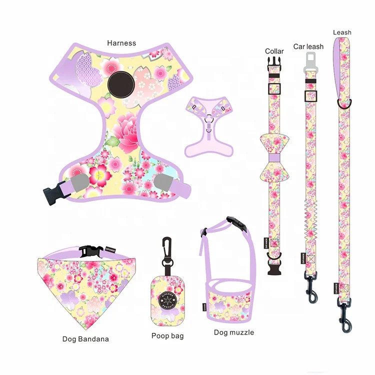 OEM/ODM Personalized Pet Accessories Print Reflective Reversible Quick Release Padded Polyester Pattern Dog Harness Set