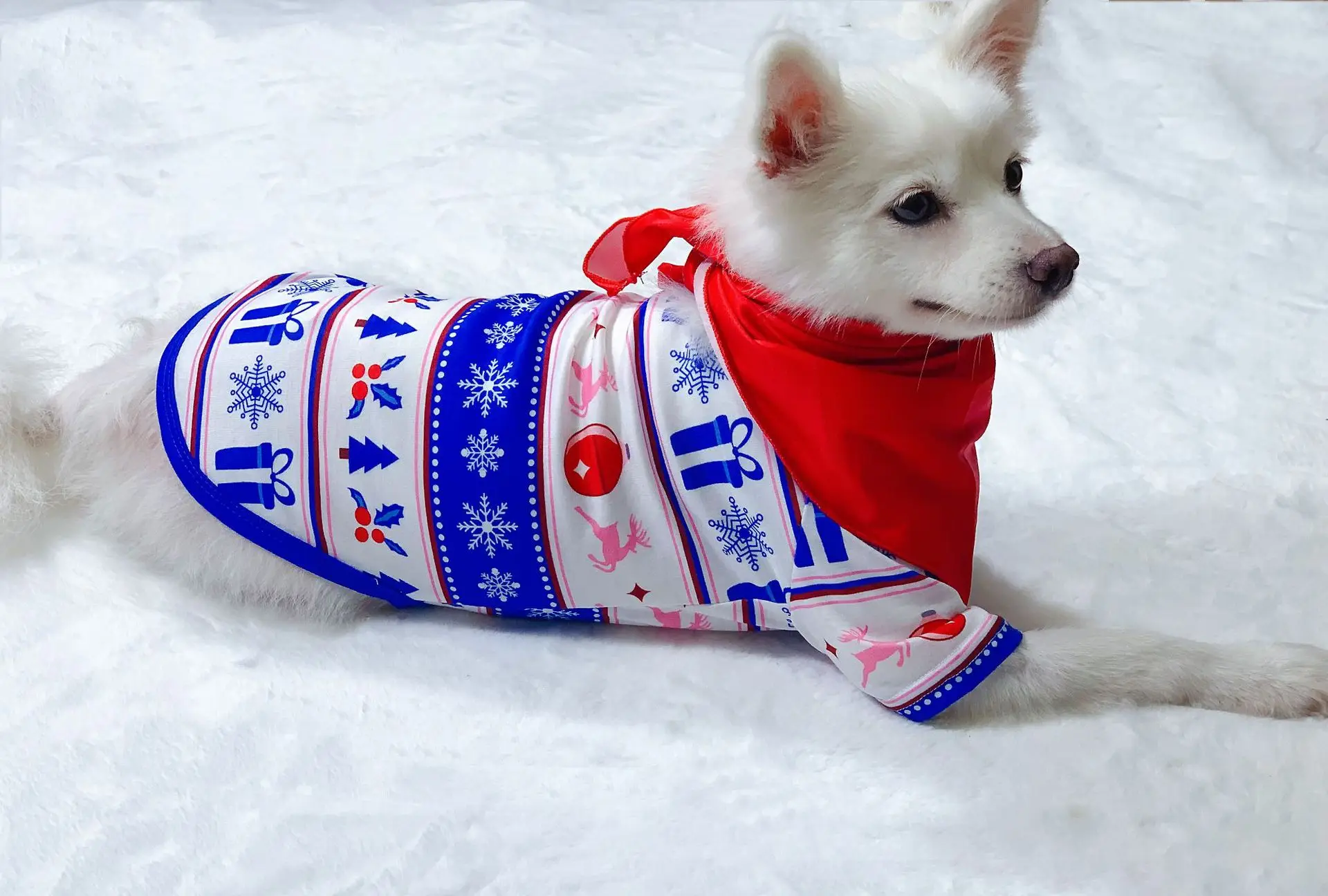 2024 Stock Wholesale Christmas pajamas blue xmas pjs set kids adult baby women matching christmas pajamas family matching